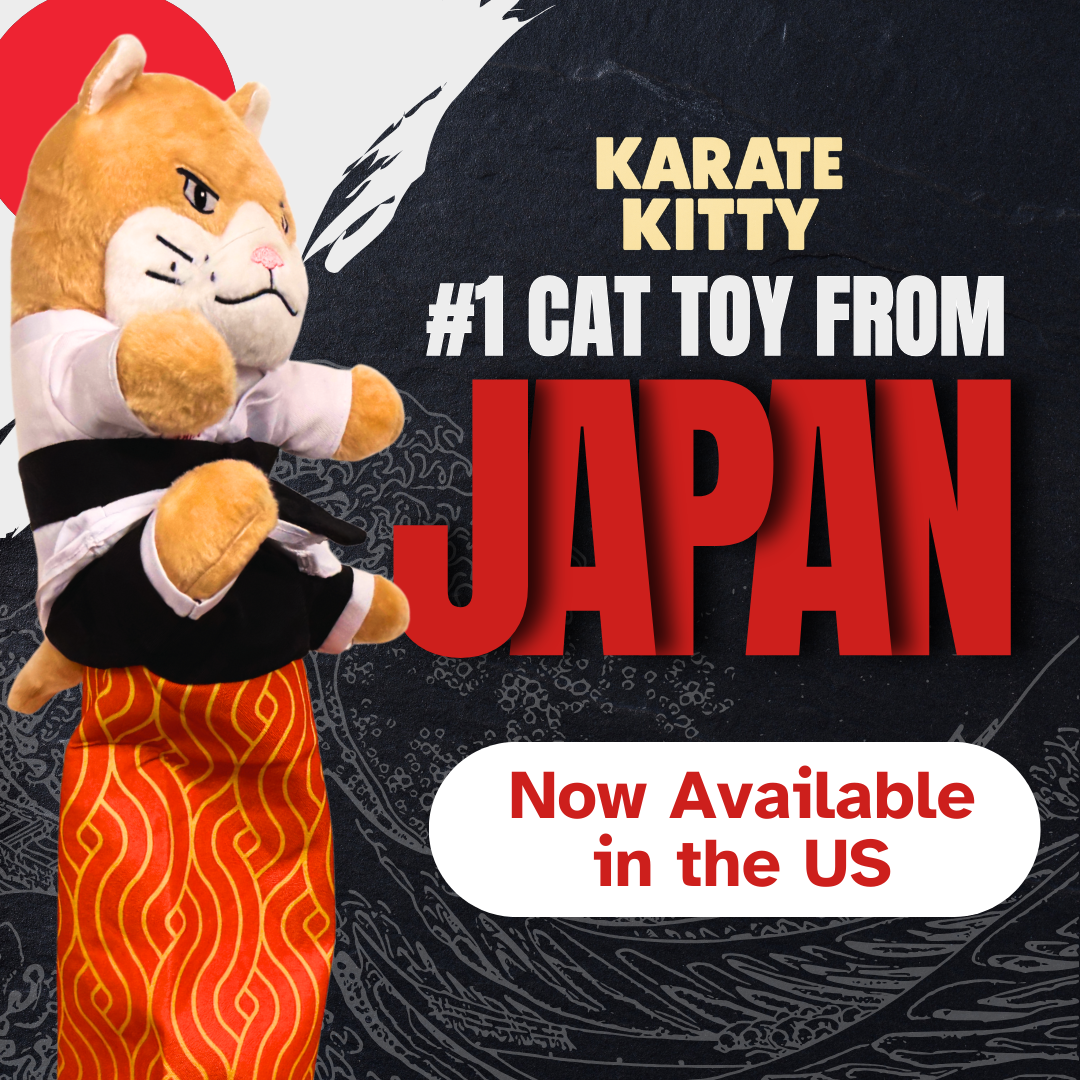 Karate Kitty Facebook ad