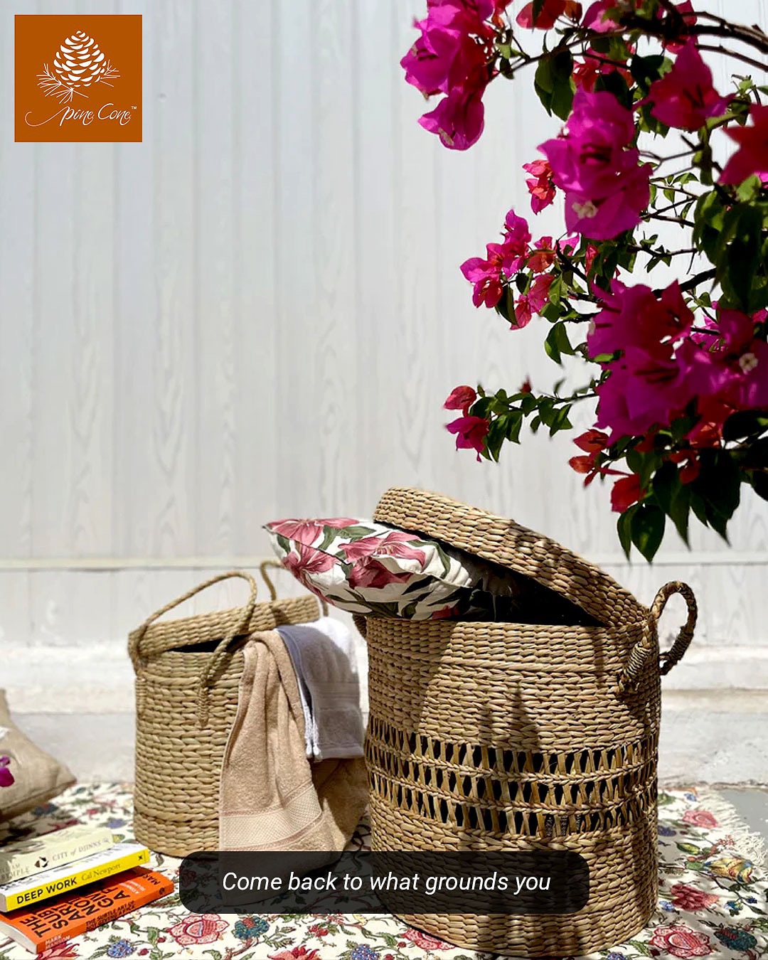 Pine Cone Store Facebook ad