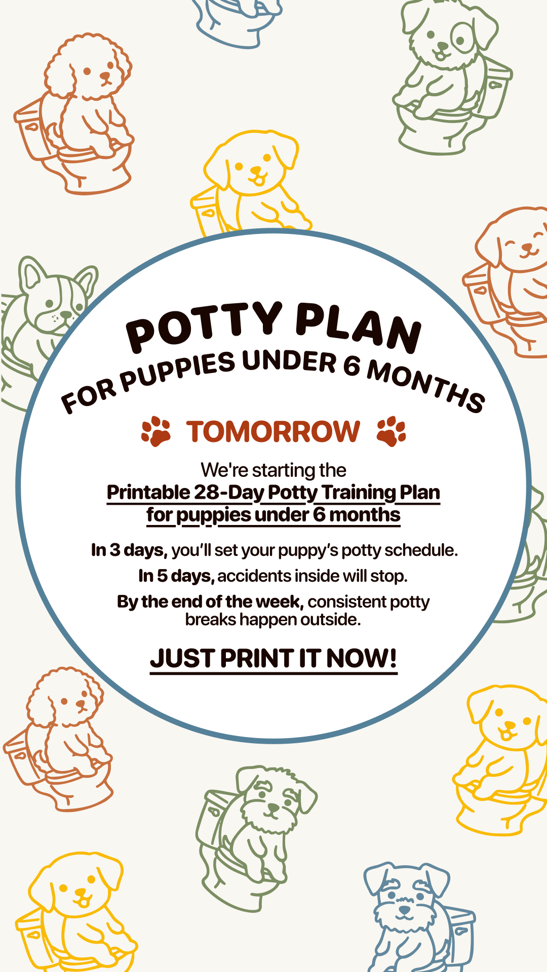 Woofz - Puppy Training Facebook ad