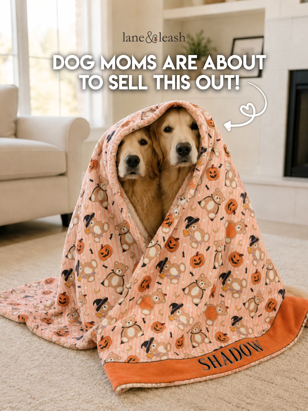 Lane&Leash Facebook ad