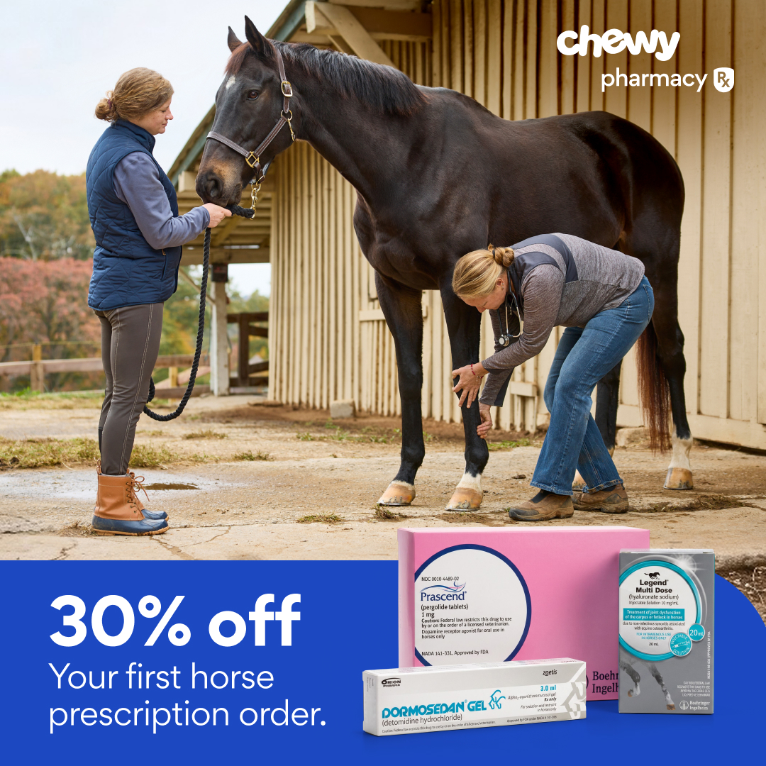 Chewy Facebook ad: Save on horse meds