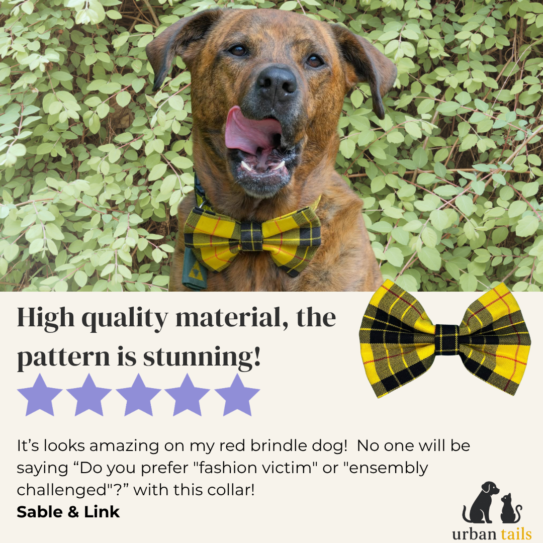 Urban Tails Handmade Pet Accessories Facebook ad