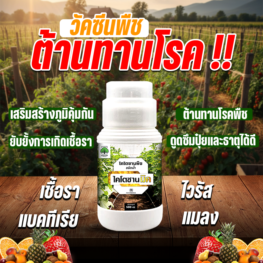 ไคโตซานมิค สูตรพรีเมี่ยม เพิ่มภูมิต้านทาน Facebook ad