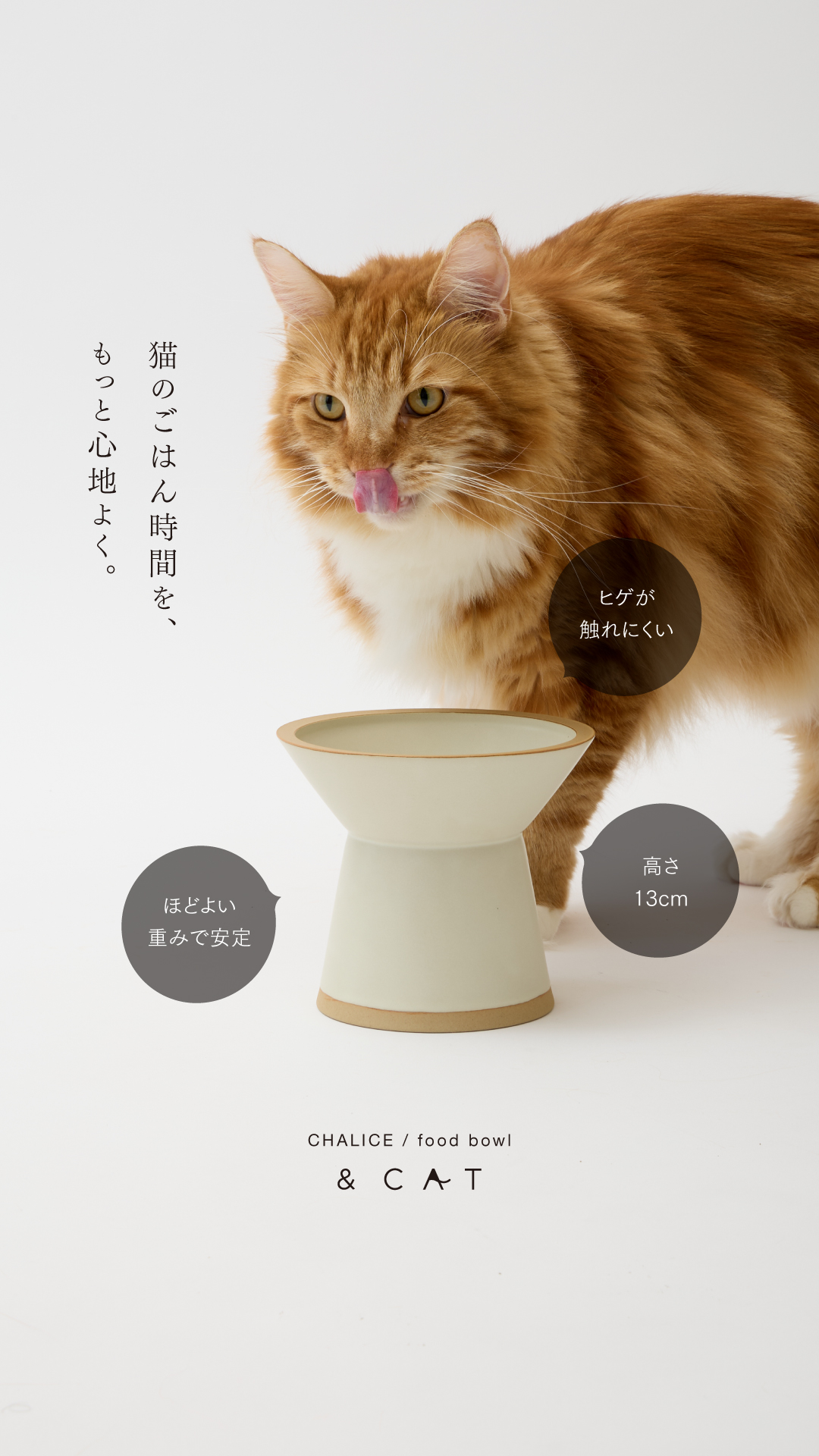 andcat_j Facebook ad