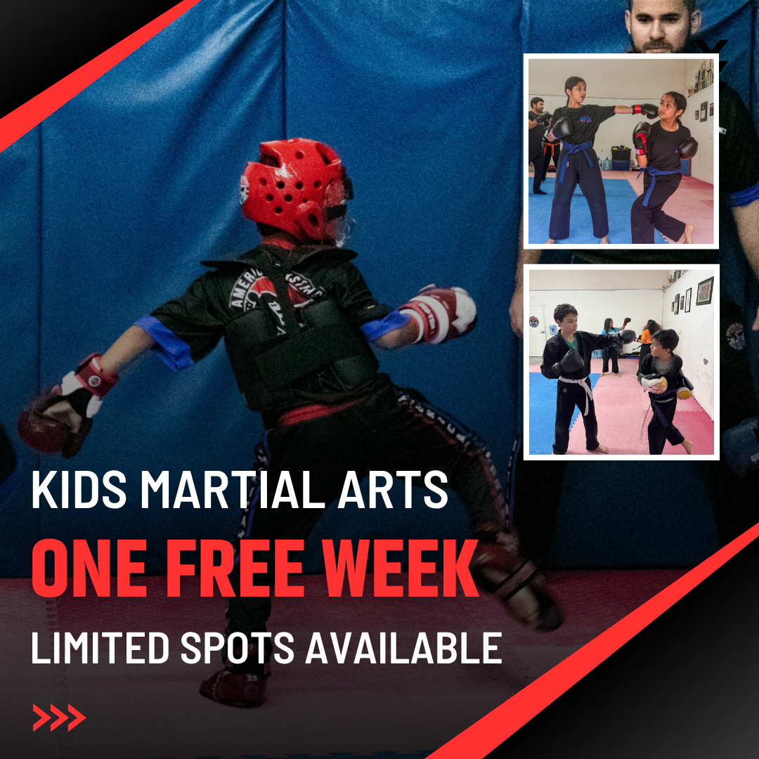 American Instinct Martial Arts and Fitness Facebook ad
