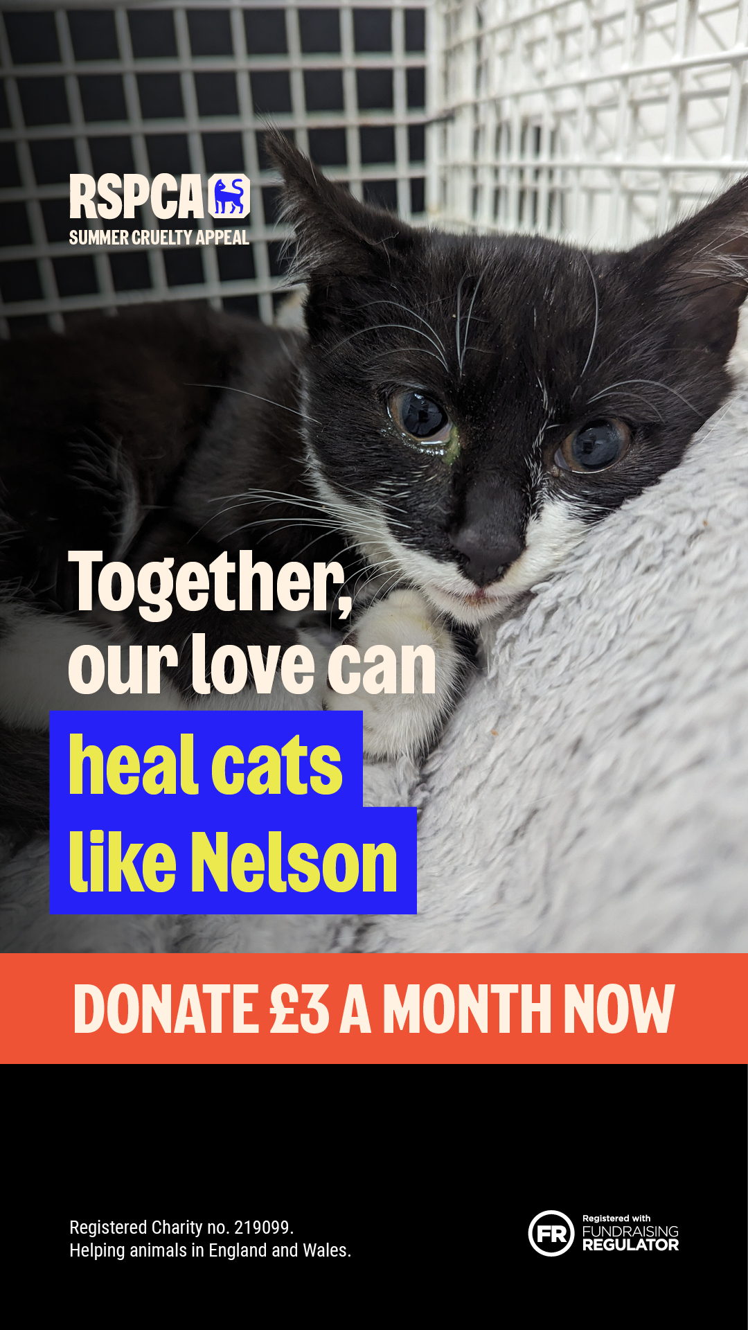 RSPCA (England & Wales) Facebook ad from Jun 29, 2026