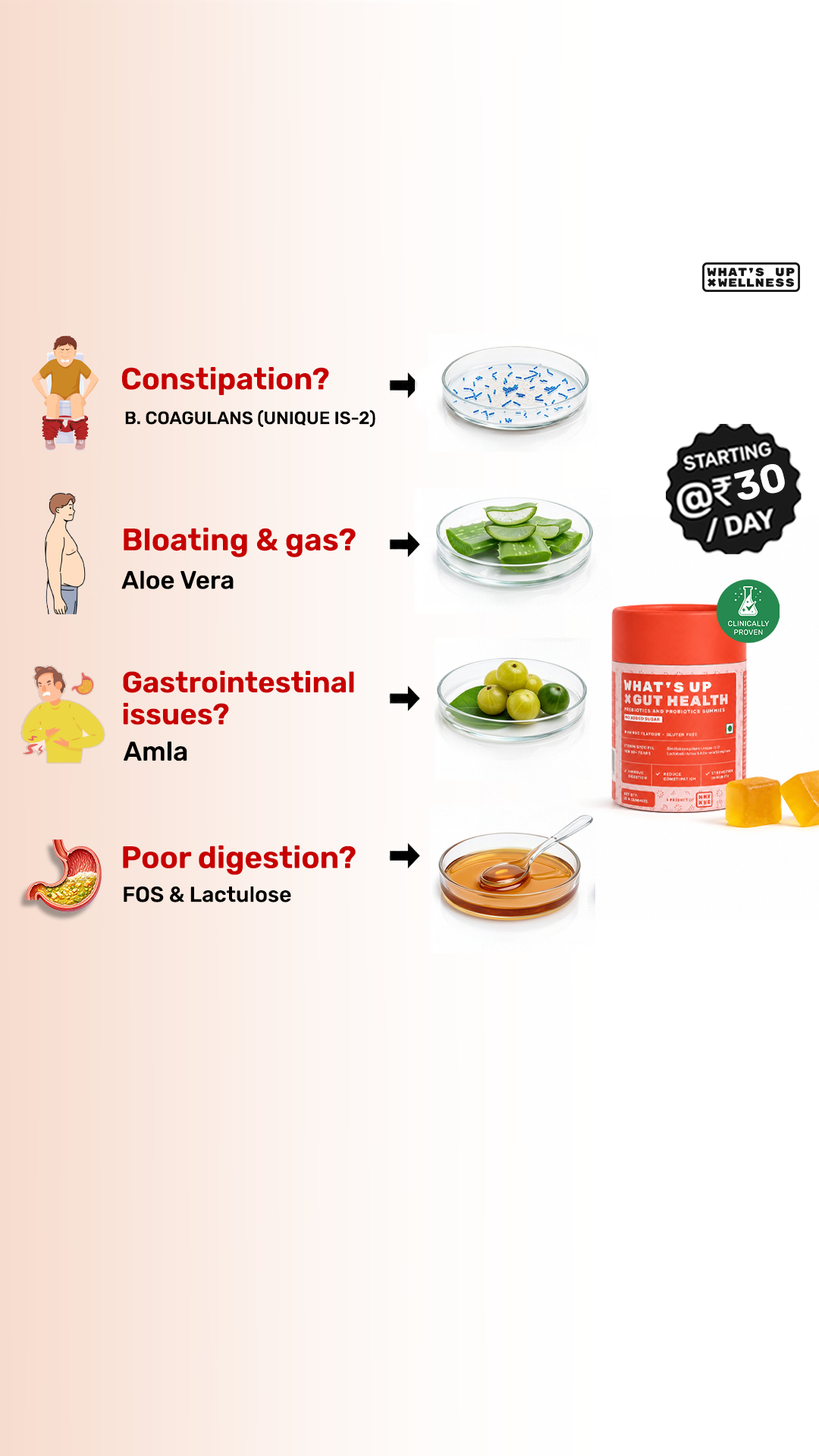 What's Up Wellness Gummies Facebook ad from Jul 30, 2026