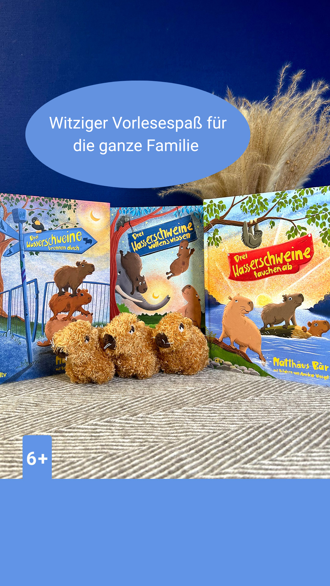 dtv Verlagsgesellschaft Facebook ad from May 28, 2026