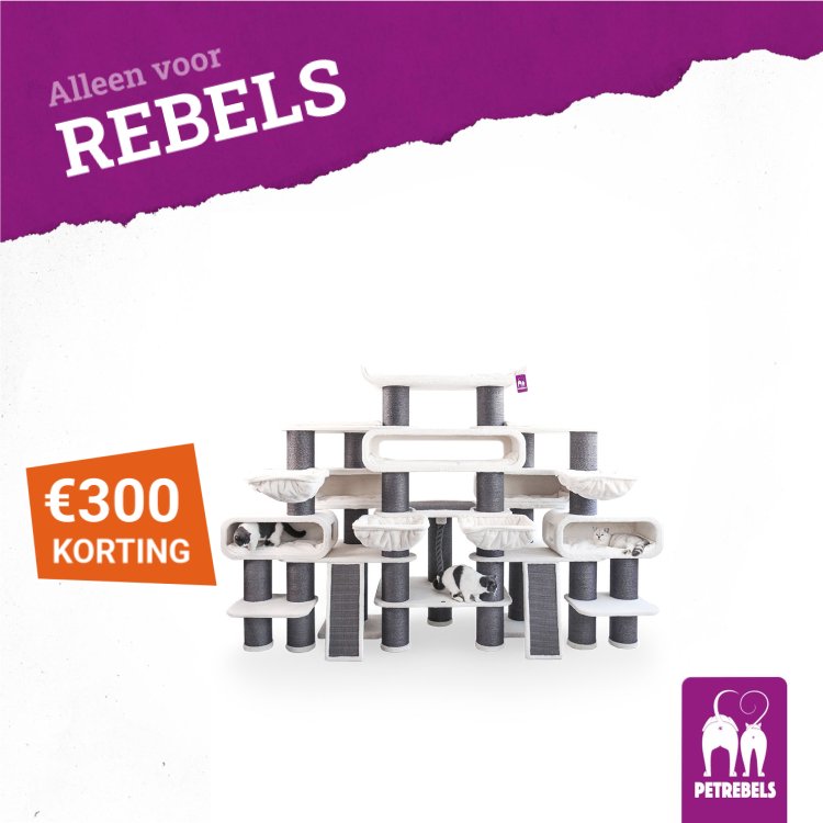 petrebels.com Facebook ad: Op zoek naar een nieuwe krabpaal, mand of…