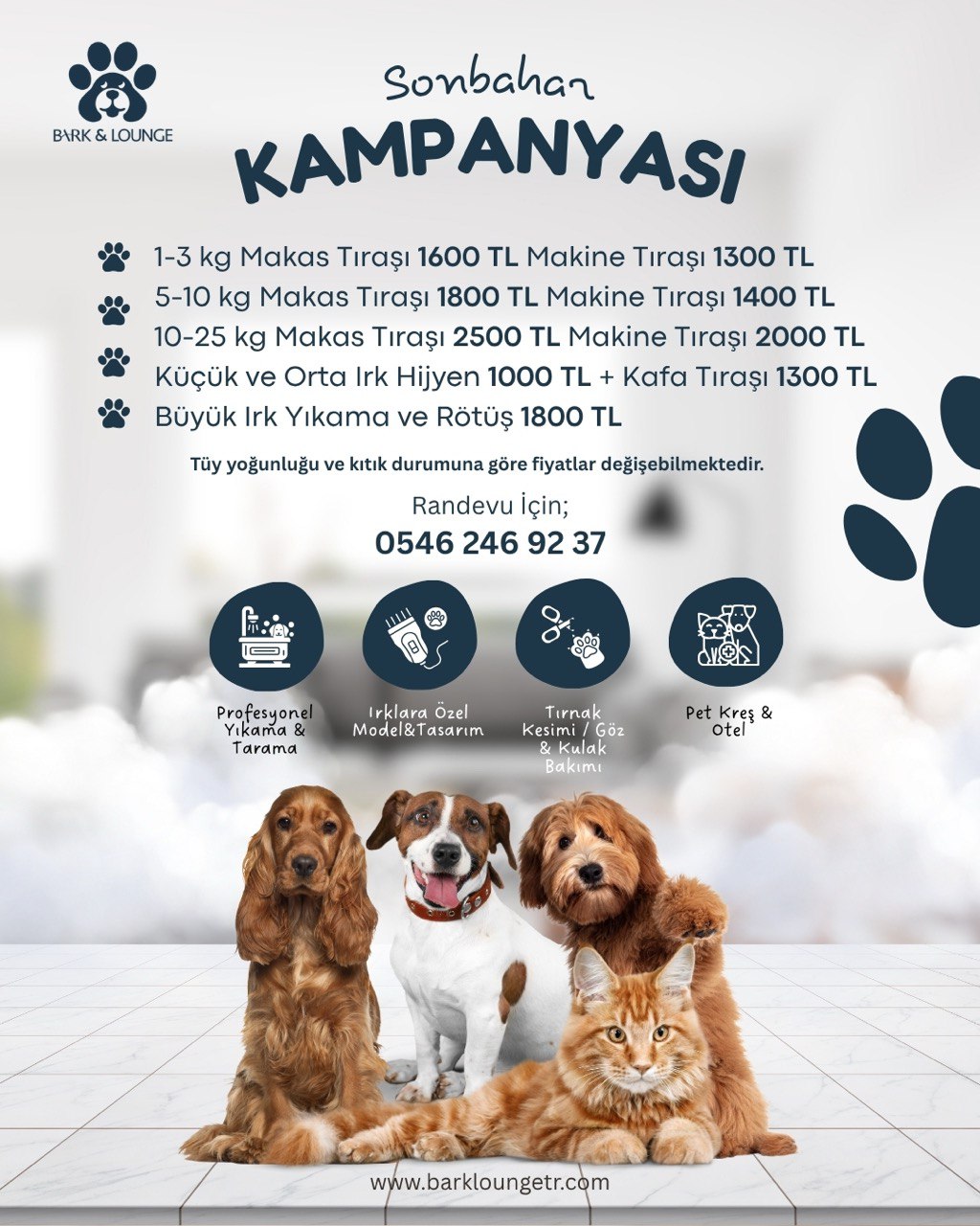 Bark&Lounge Facebook ad from Oct 20, 2025