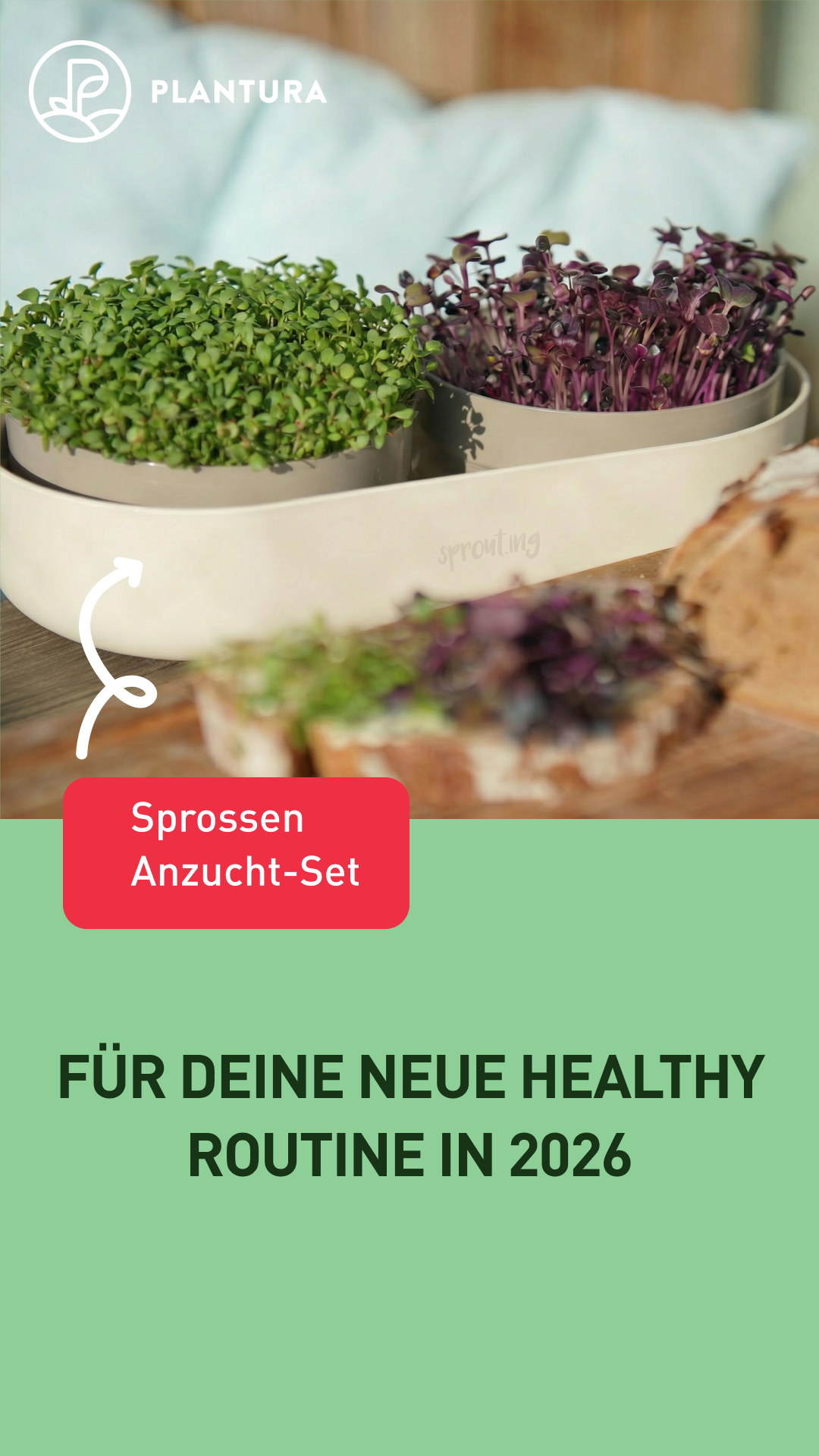 Plantura Facebook ad