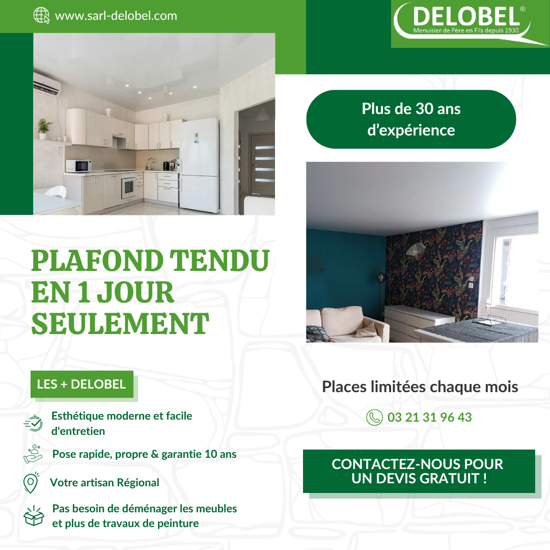 SARL Delobel Facebook ad: Redonnez de la lumière et du cachet à votre salon ou…