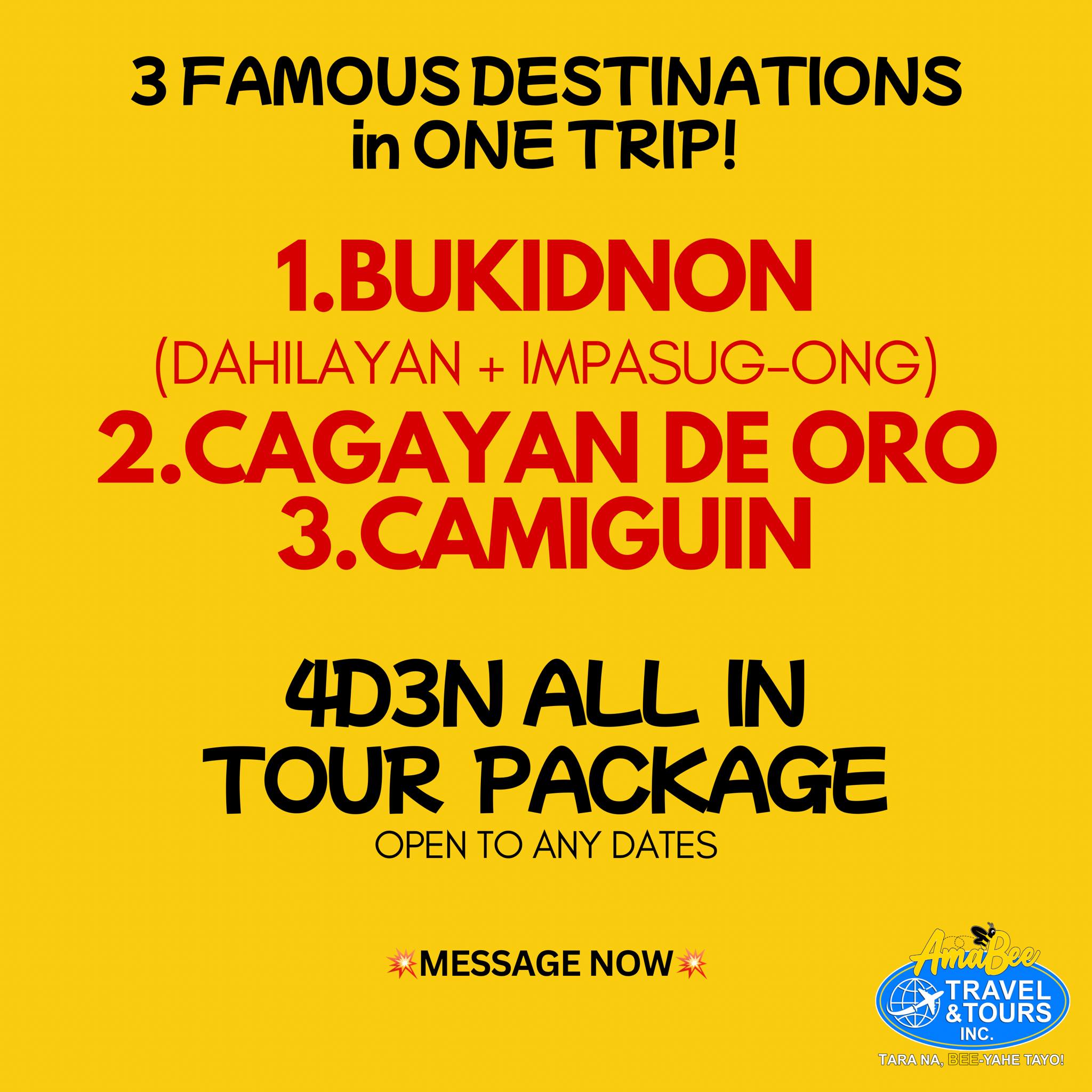 AmaBee Travel and Tours Inc. Facebook ad