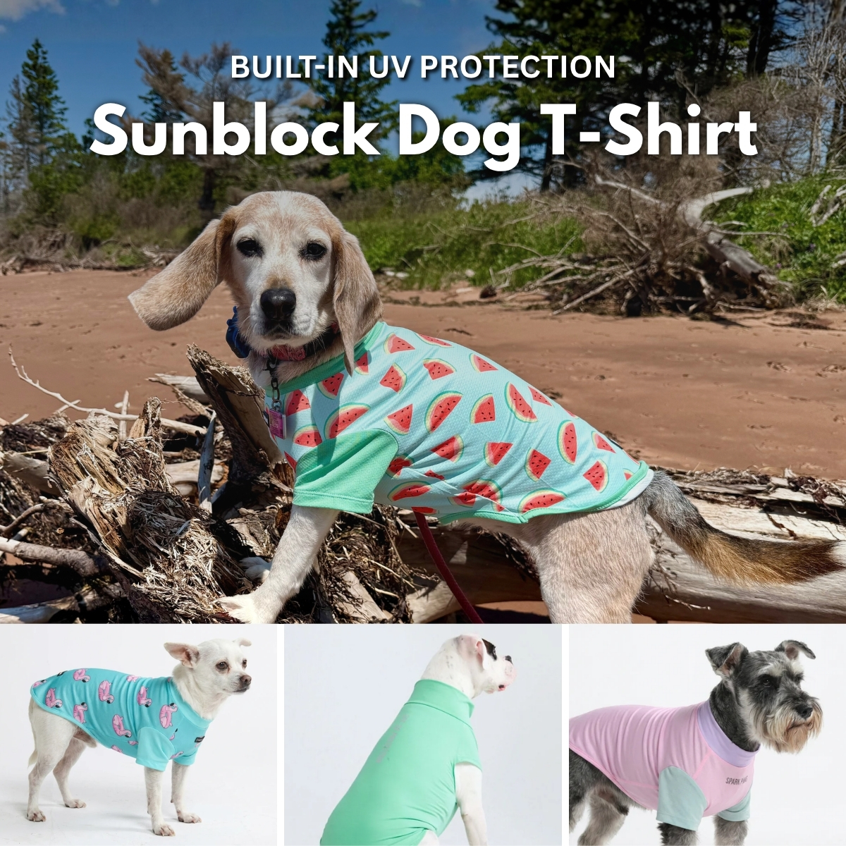 Spark Paws Facebook ad