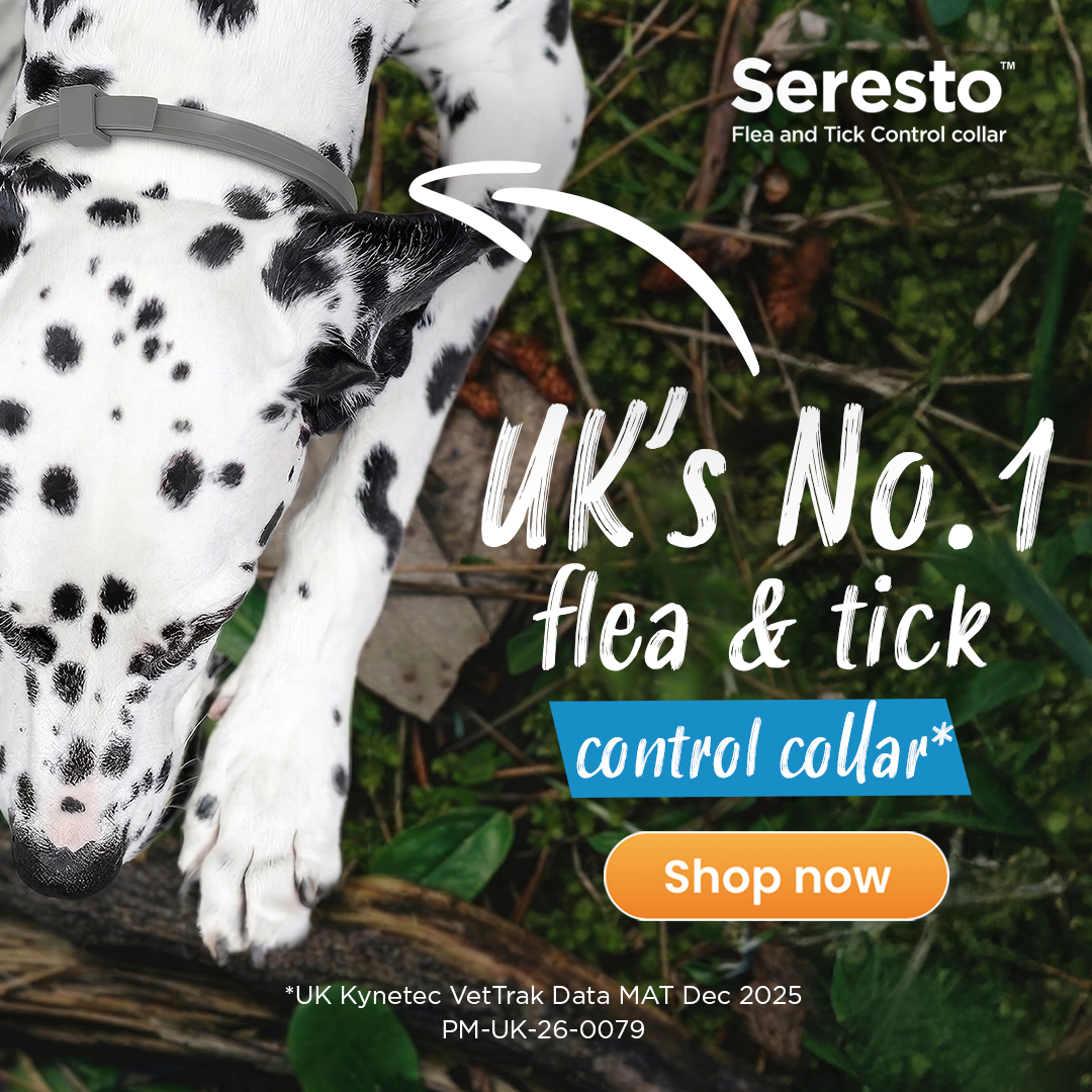 Seresto UK Facebook ad from Jun 15, 2026