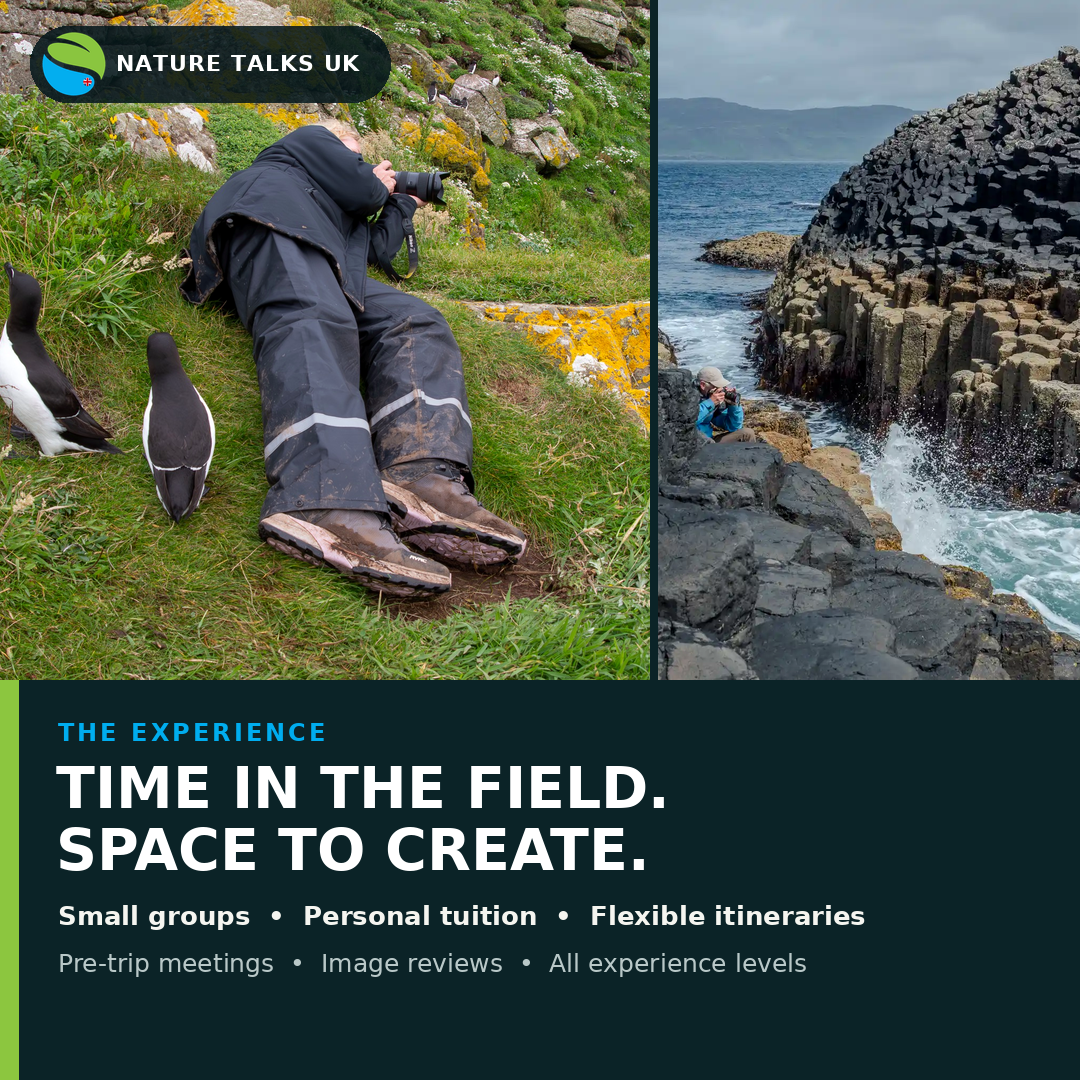 Nature Talks Photo Festival Facebook ad