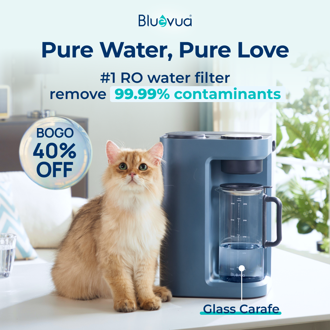Bluevua Facebook ad from Dec 26, 2025