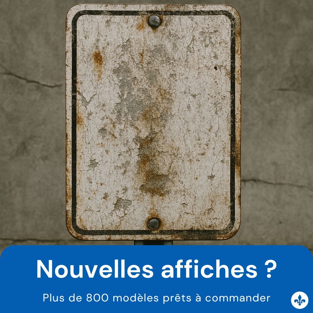 Affiche Expert Facebook ad