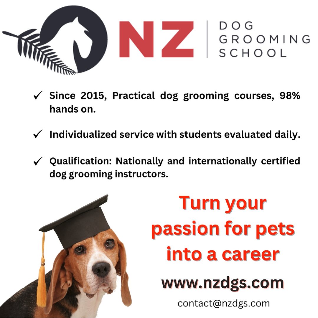 NZ Dog Grooming School Facebook ad: Learn from the best!