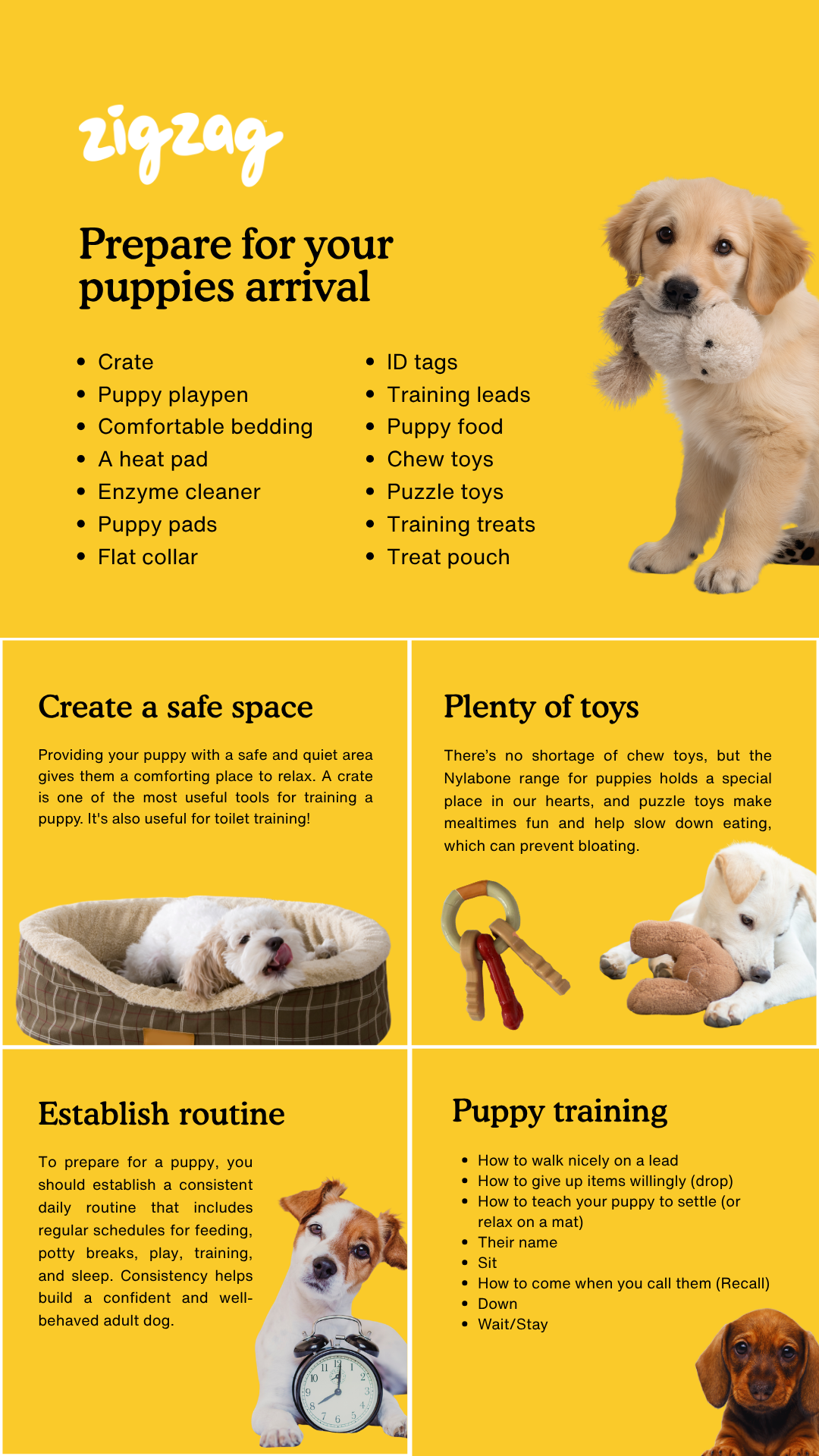 Zigzag Puppy Coach Facebook ad