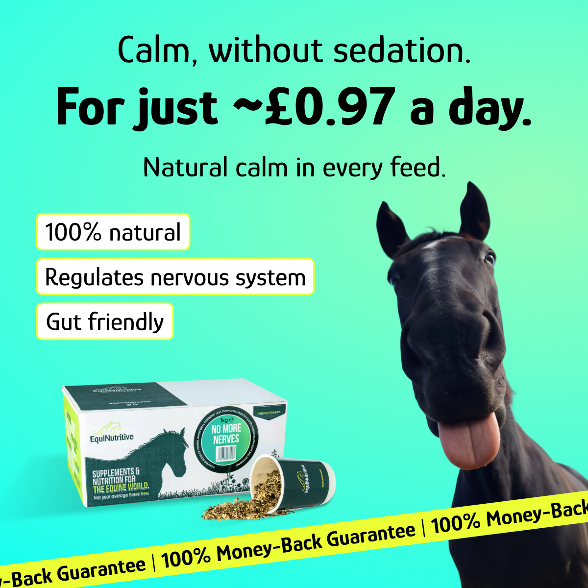 EquiNutritive Facebook ad