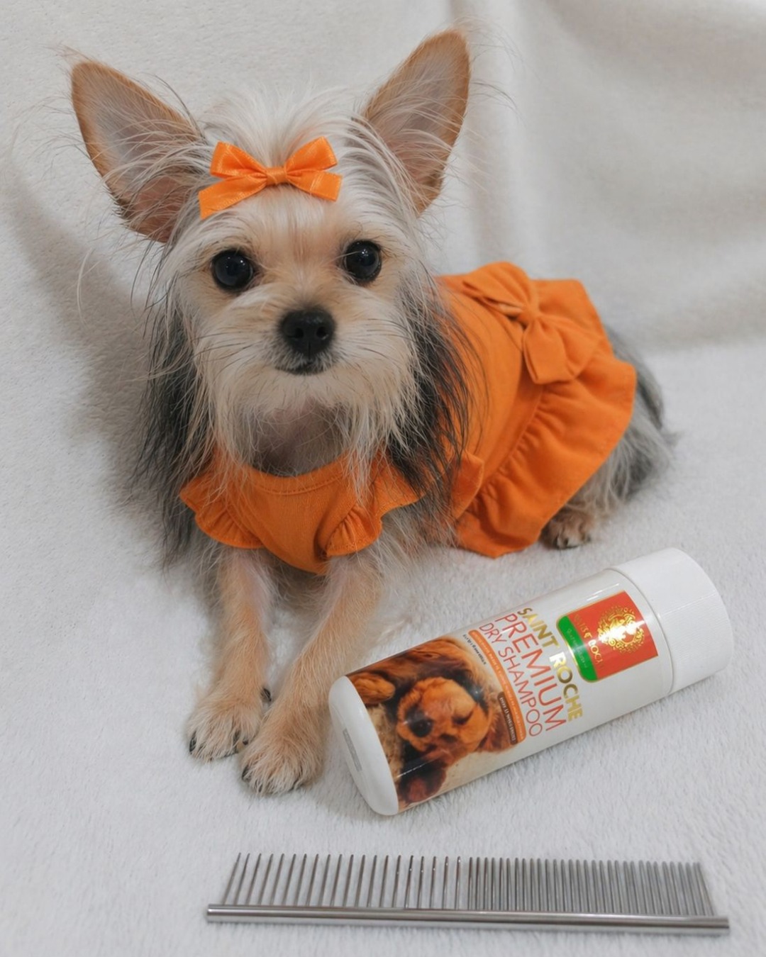 Saint Roche Premium Dog Shampoo Facebook ad