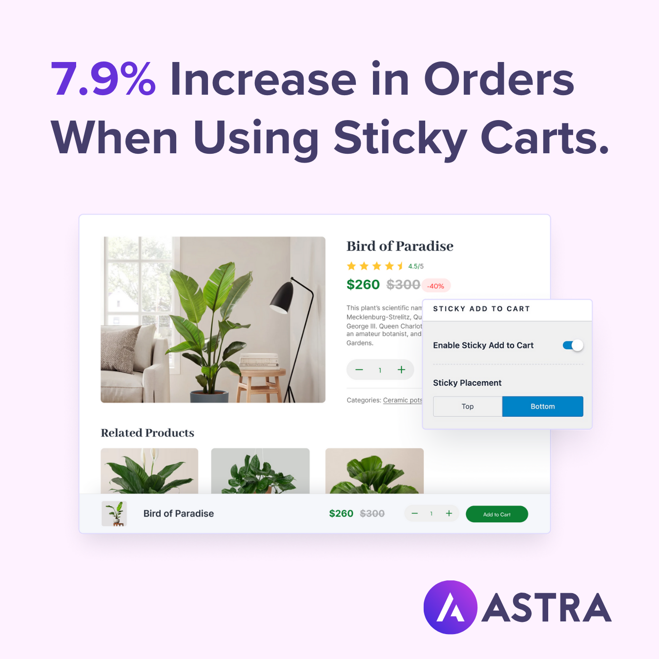 Astra WordPress Theme Facebook ad