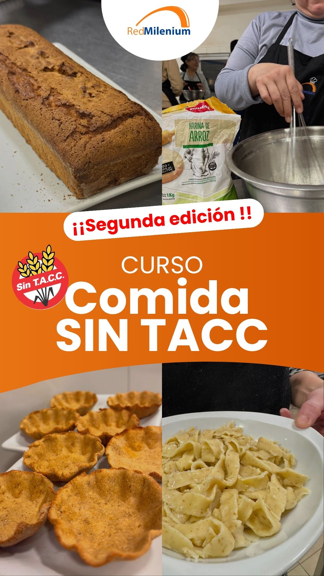 Red Milenium Capacitaciones Facebook ad: Chatea con nosotros