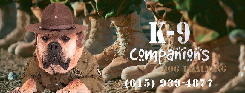 K-9 Companions Nashville Facebook ad: We are located in Middle Tennessee in Mount…