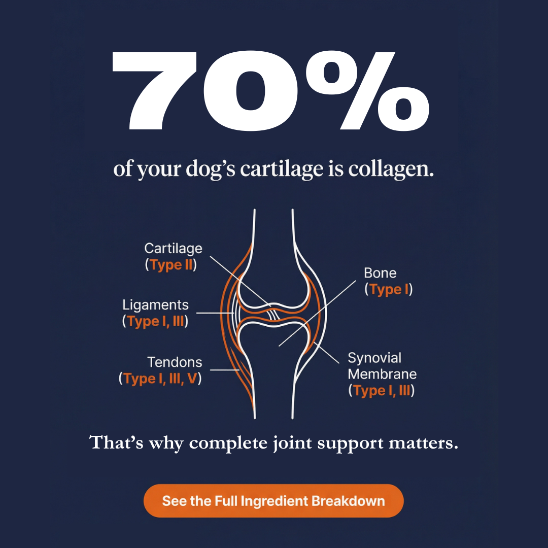 Pawable Facebook ad