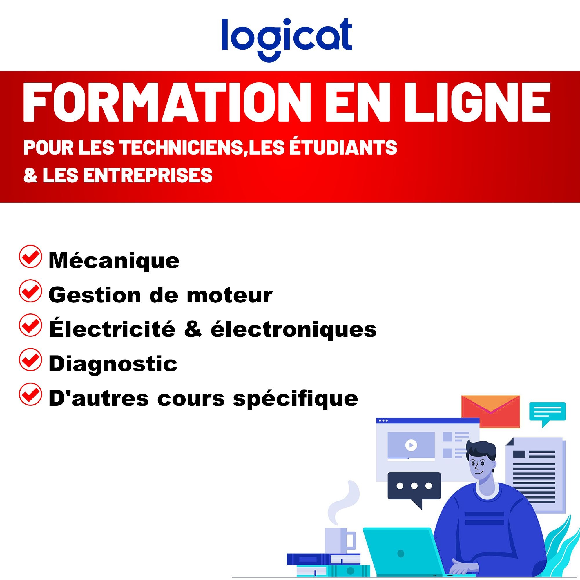 Logicat Facebook ad