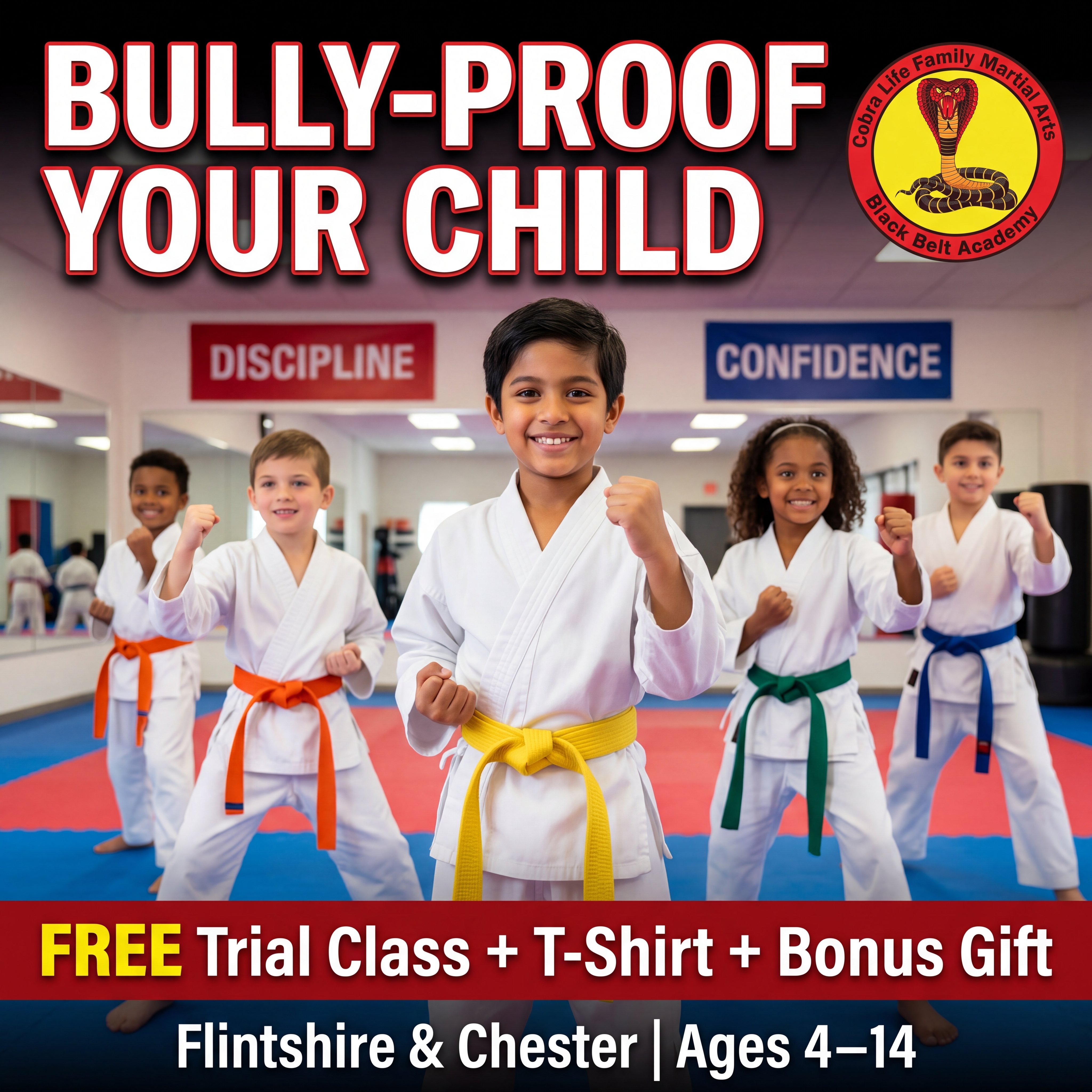 Cobra Life Family Martial Arts Black Belt Academy Facebook ad