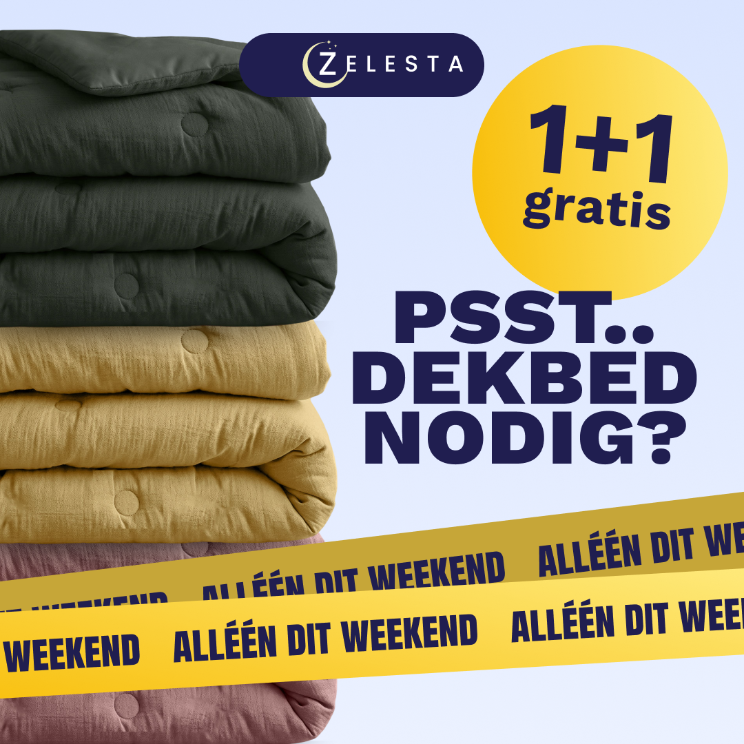 Zelesta.nl Facebook ad