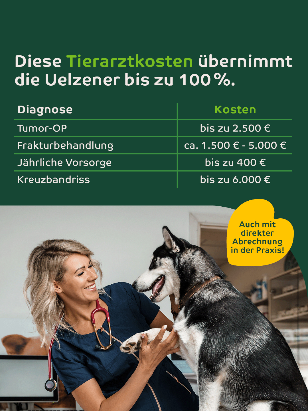Uelzener Versicherungen Facebook ad