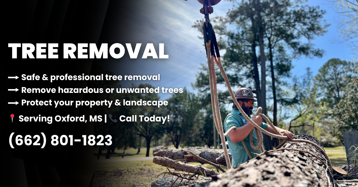 Warren Lawn & Tree Service LLC Facebook ad: The Tree Company Oxford & North Mississippi Rely…