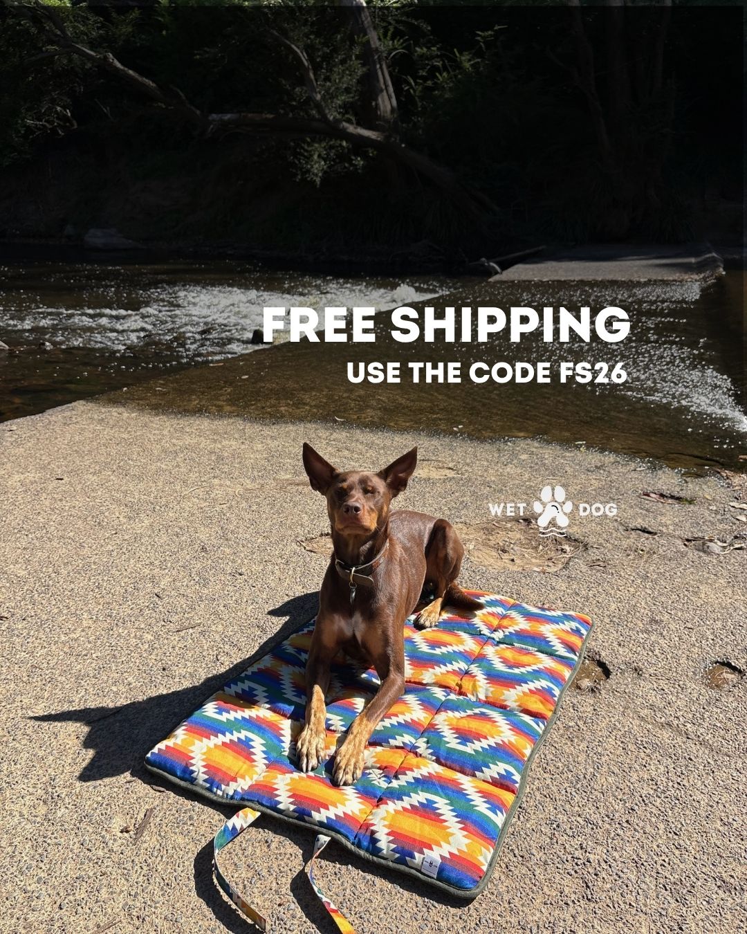 Wetdogandco Facebook ad
