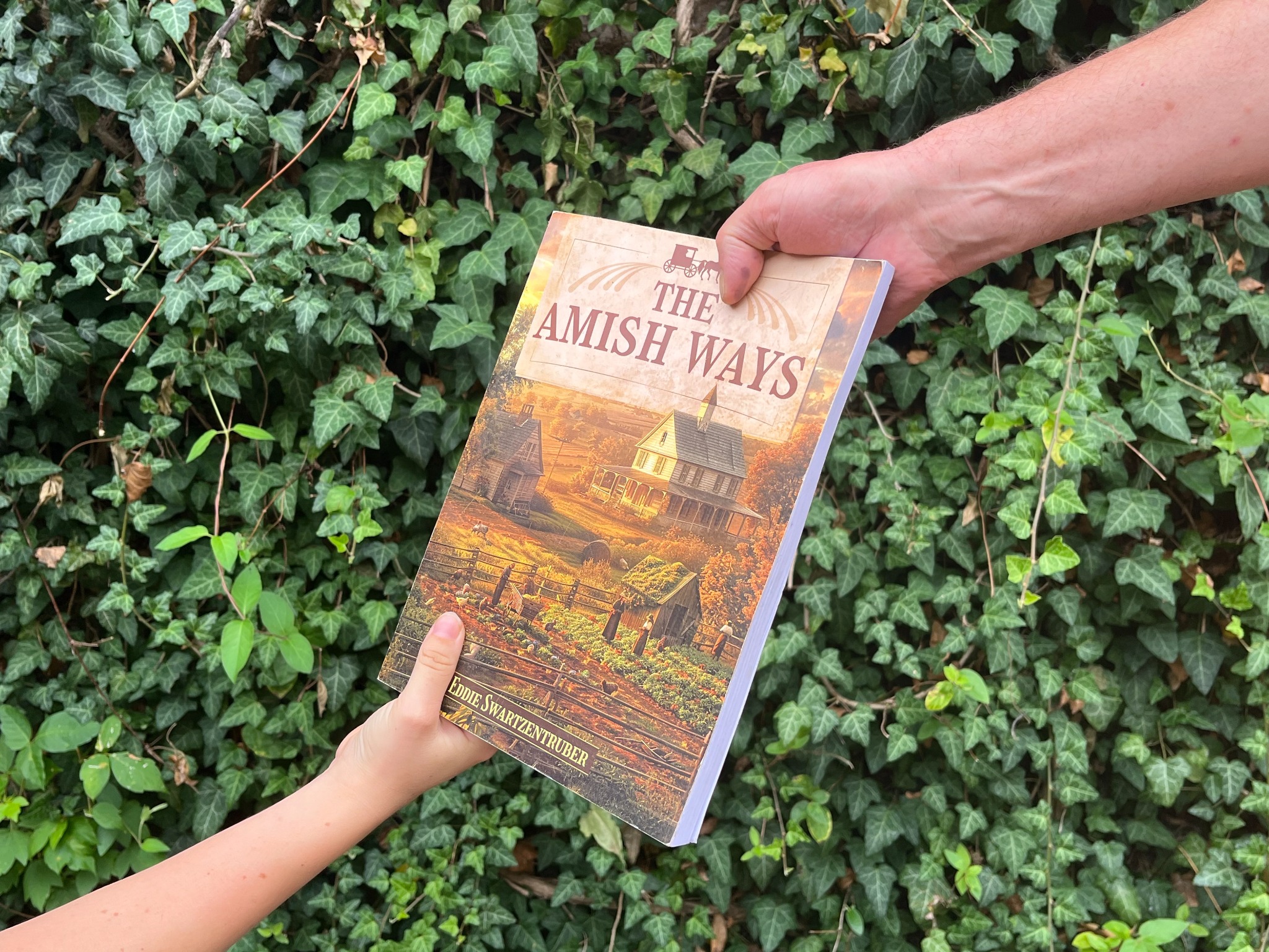 The Amish Ways Facebook ad
