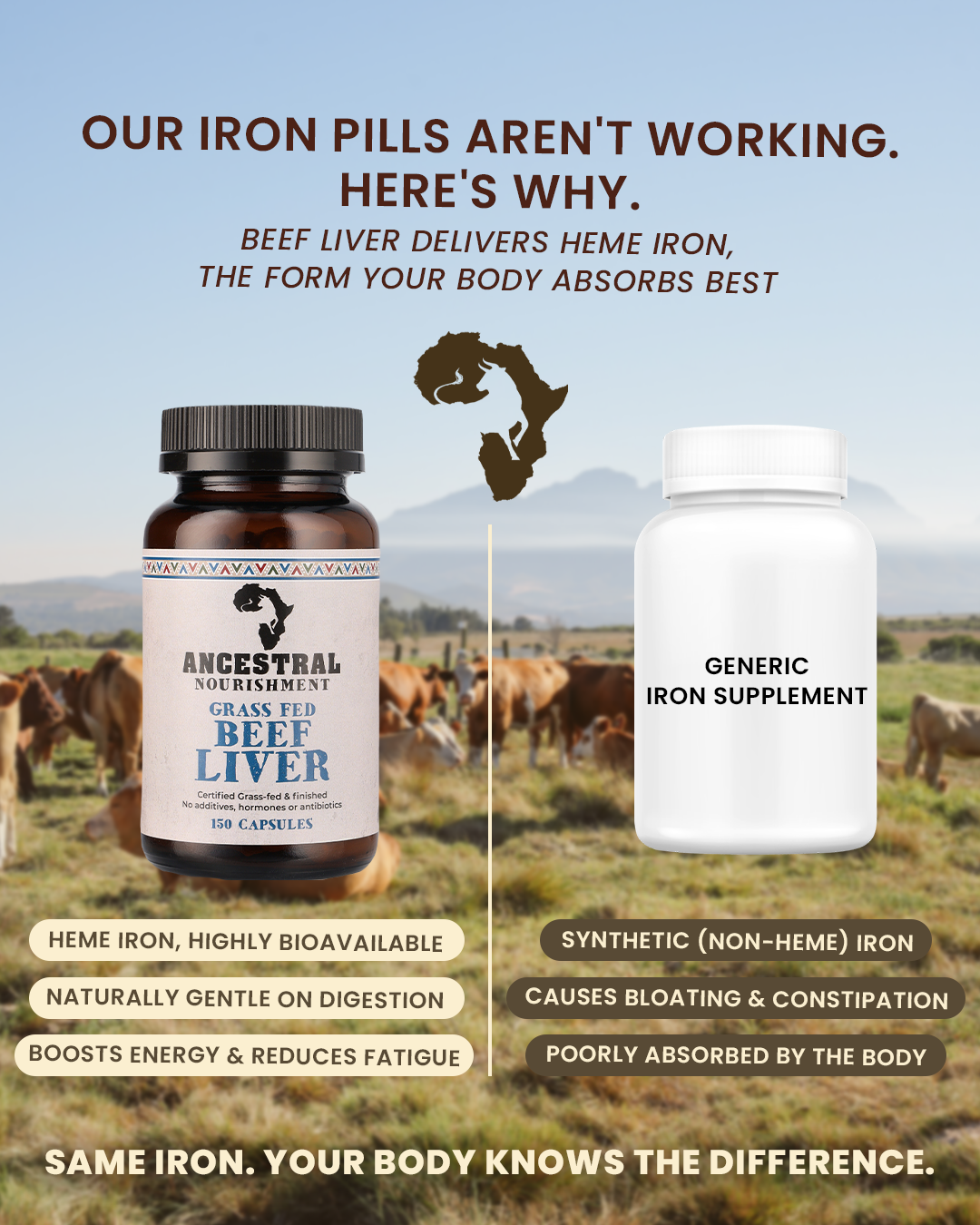 Ancestral Nourishment Facebook ad