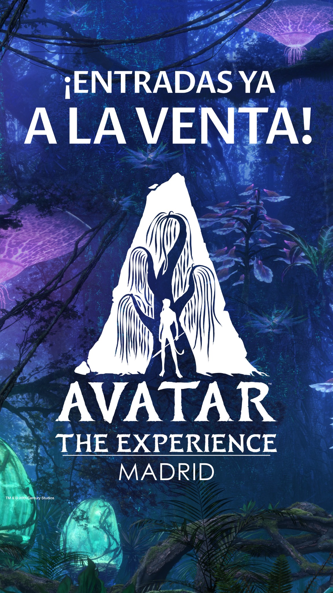 Avatar: The Experience Facebook ad from Dec 15, 2025