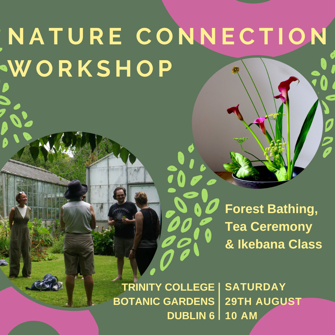 Nature To Go Facebook ad: Nature Connection Workshop - Forest Bathing and Ikebana…