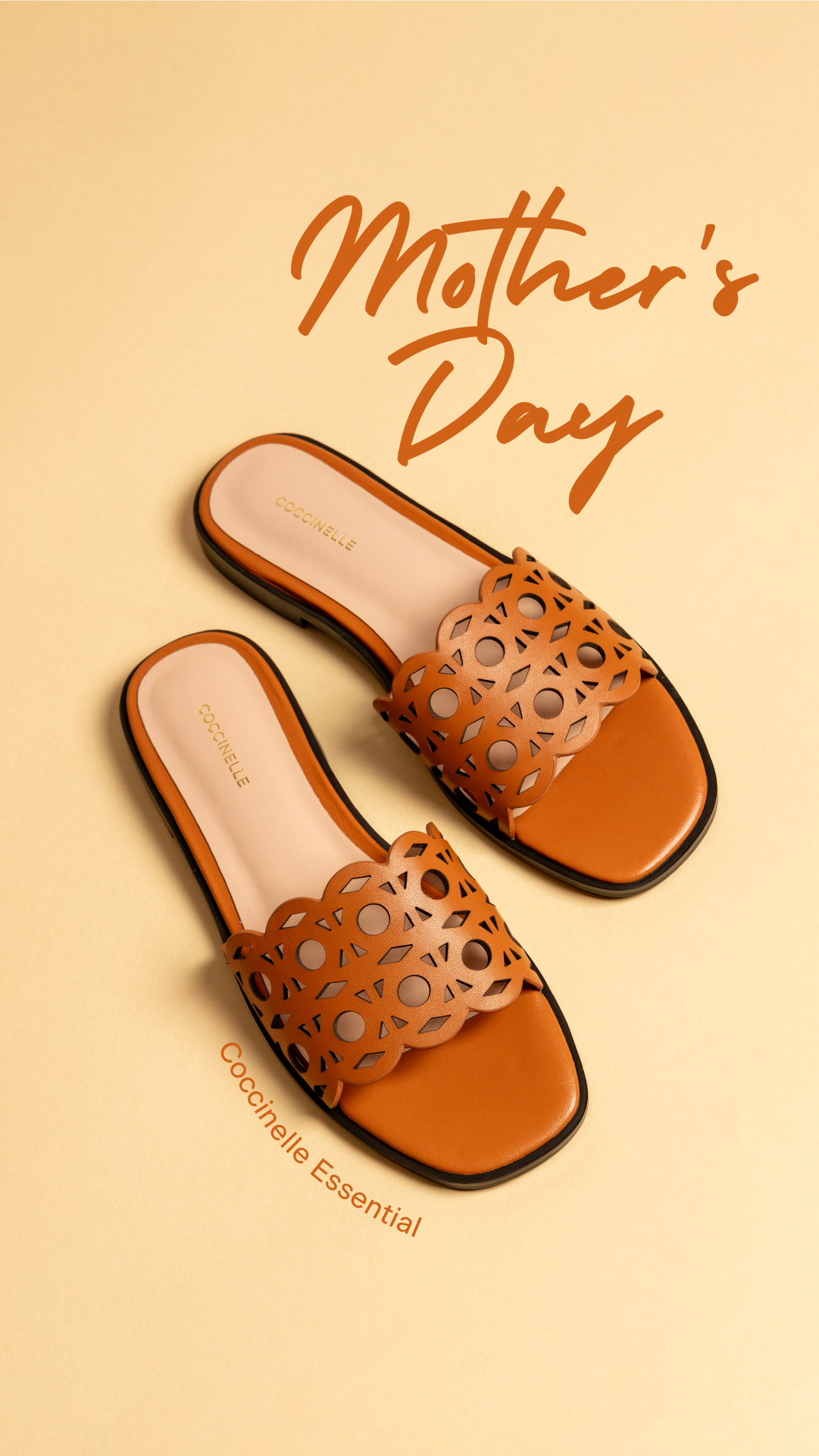 COCCINELLE Facebook ad