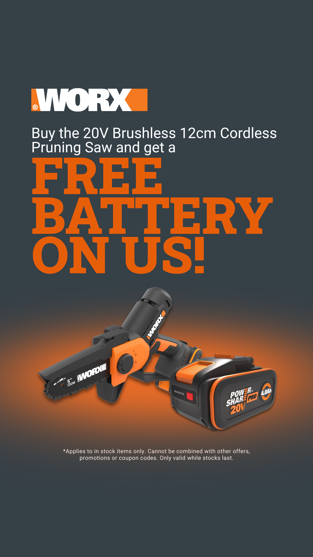 Worx Facebook ad