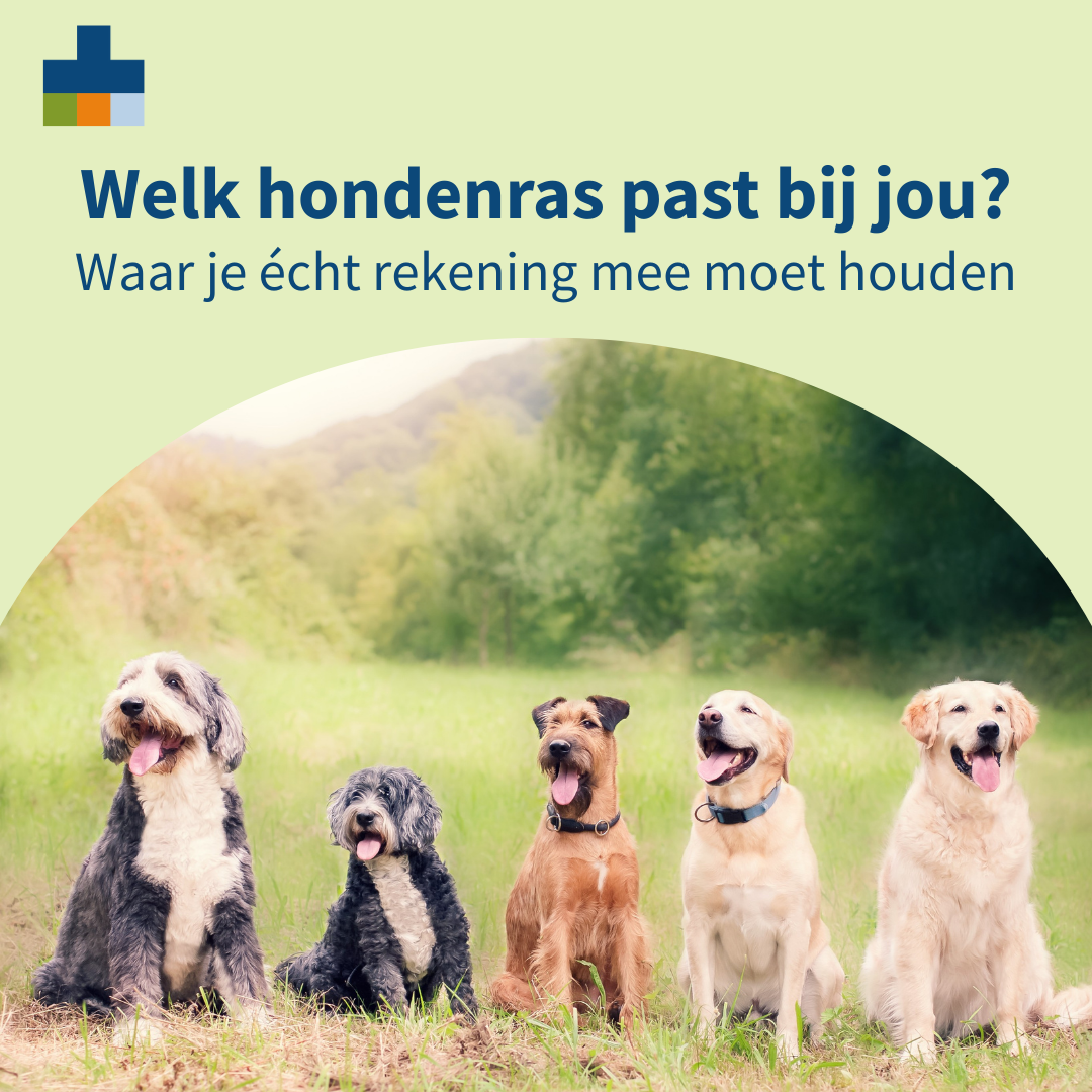 Medpets Facebook ad