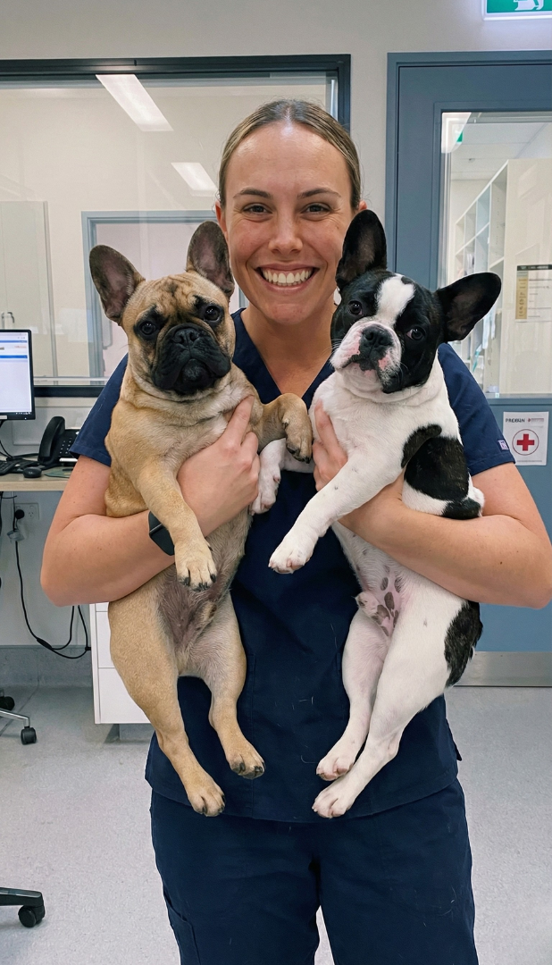 Riverside Animal Hospital Facebook ad: Fast Relief for Itchy Ears and Skin