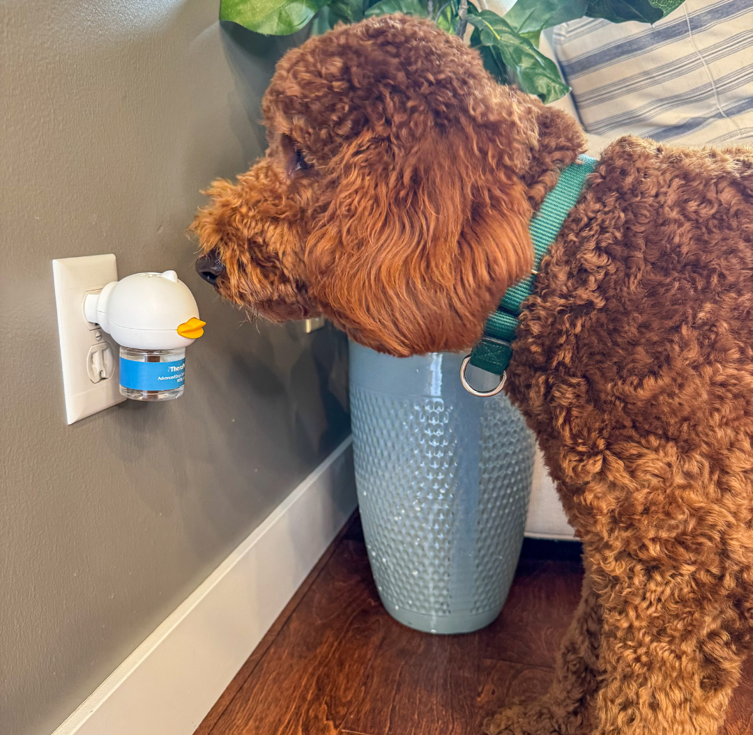 Vet approved products Facebook ad