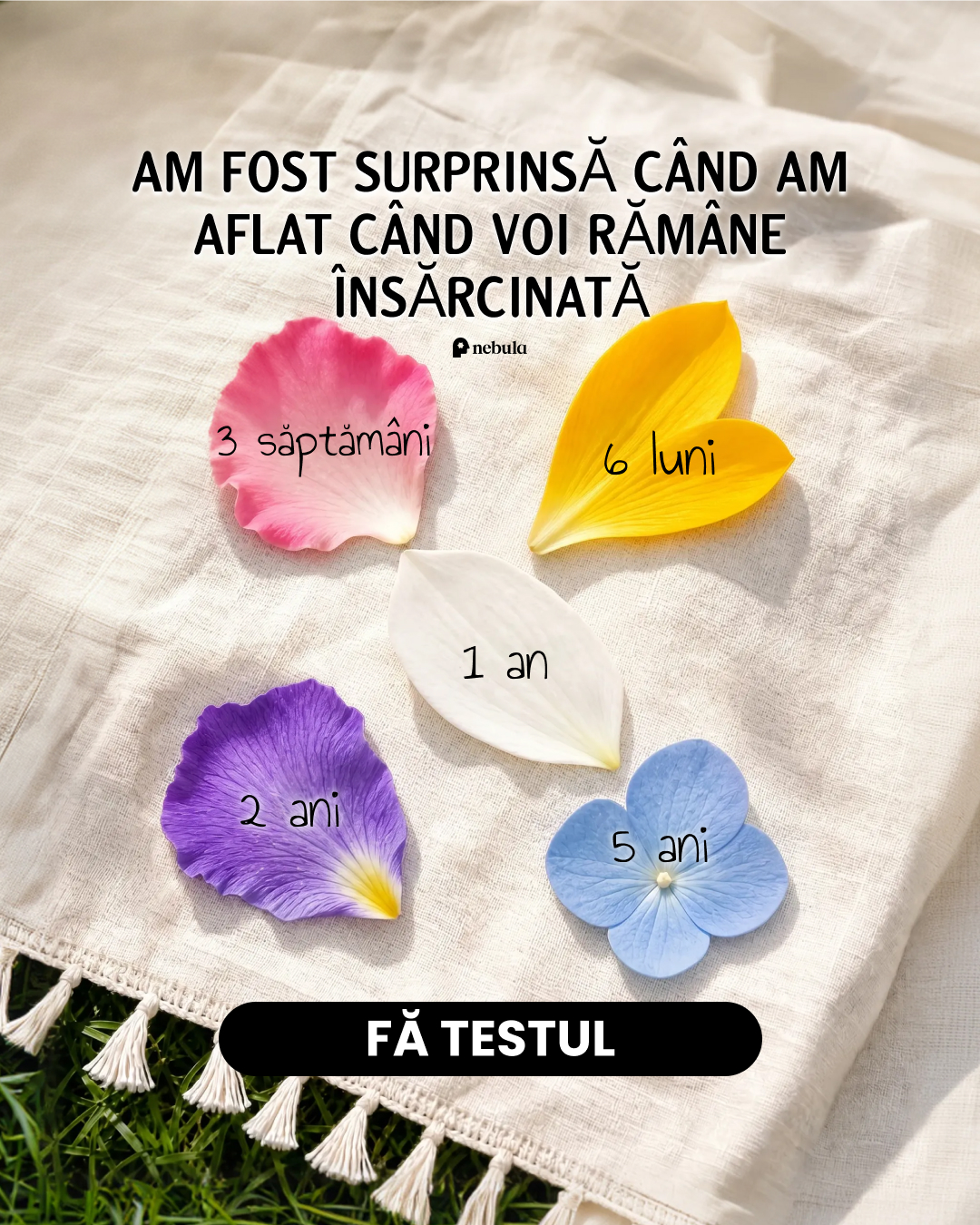 Nebula: Palm Reading Facebook ad