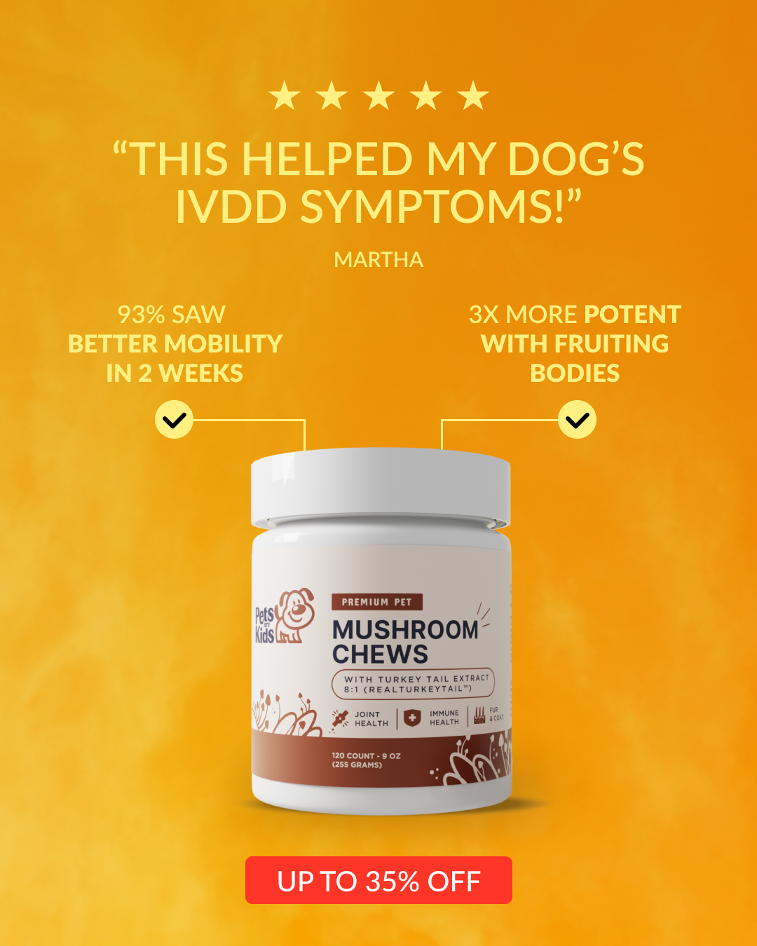 IVDD Shield Facebook ad: The Invisible Shield for At-Risk Spines: Why Joint…