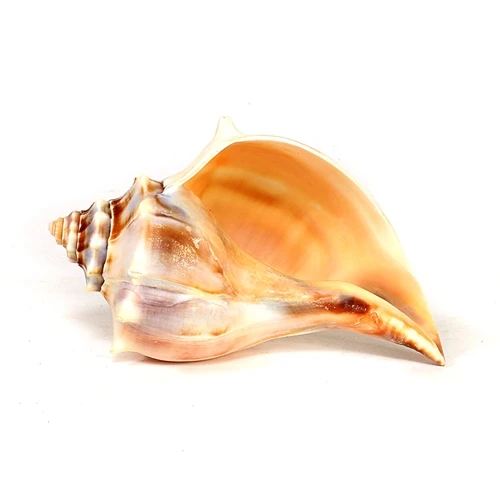 Alibaba.com Facebook ad