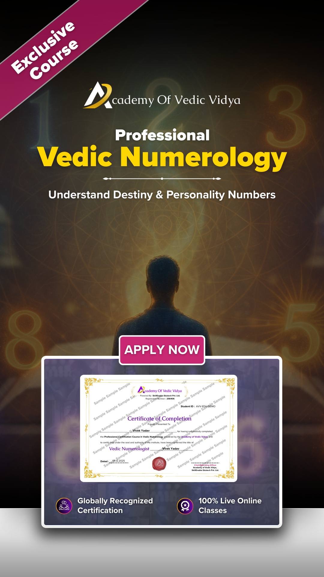 Academy of Vedic Vidya Facebook ad