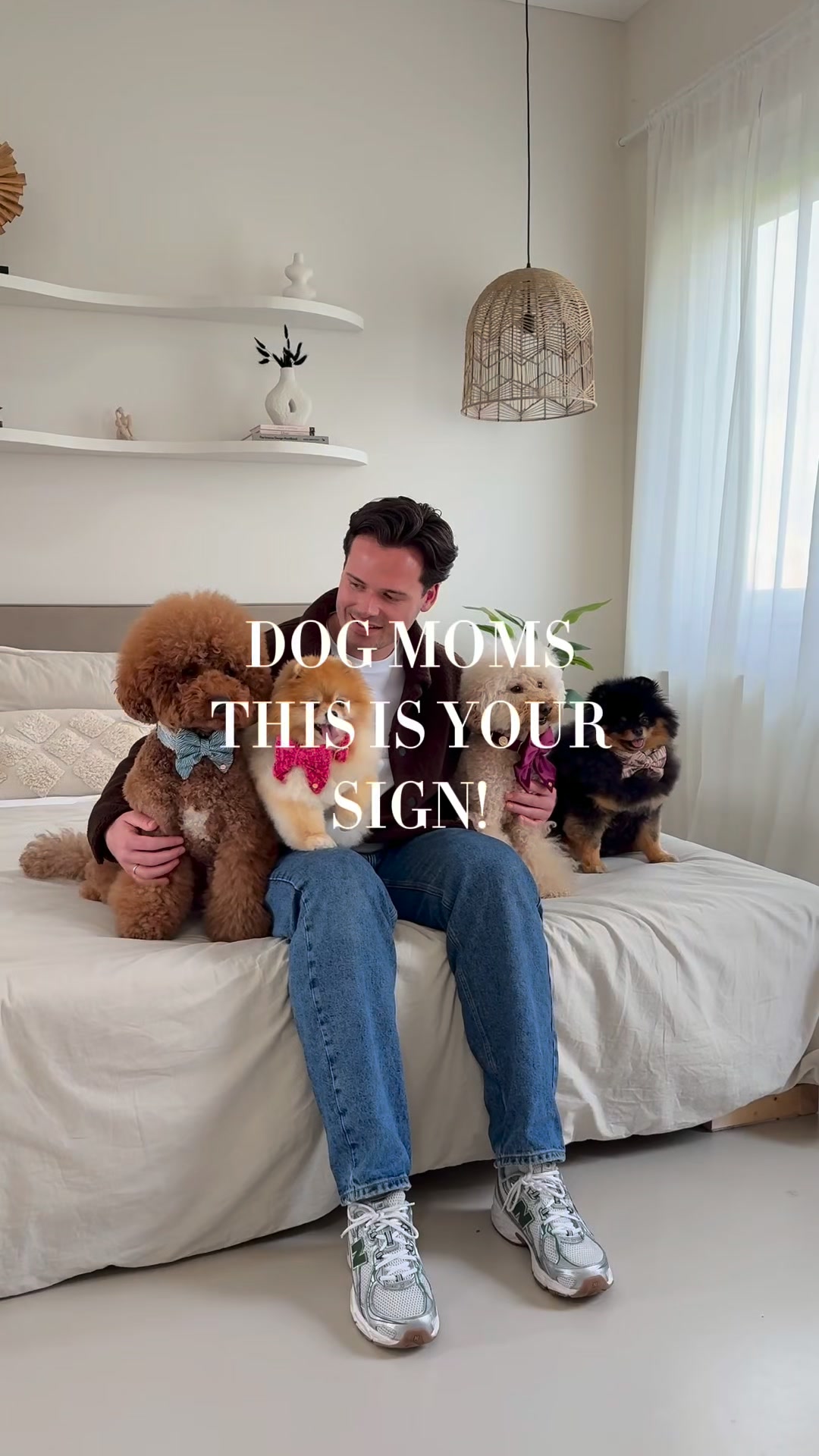 floofsandcookies Facebook ad: The Chloe Collection